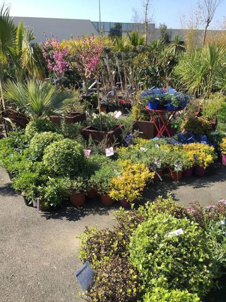 Jardinerie Jardin Décor