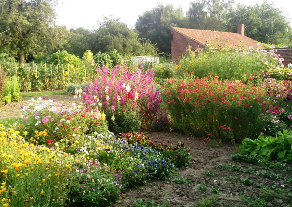 Le jardin d'essai des Graines Bocquet