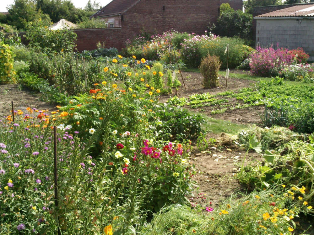 Le jardin d'essai des Graines Bocquet