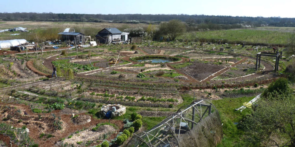 Potager permacole et jardin mandala