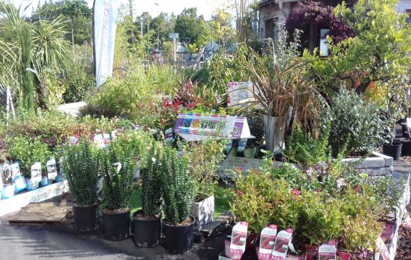 Jardinerie Atlantic Vert