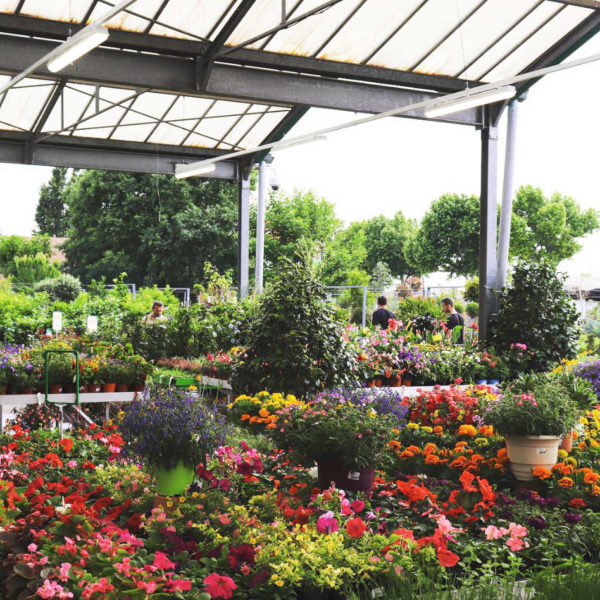 Jardinerie Jaïa Balaruc-le-Vieux