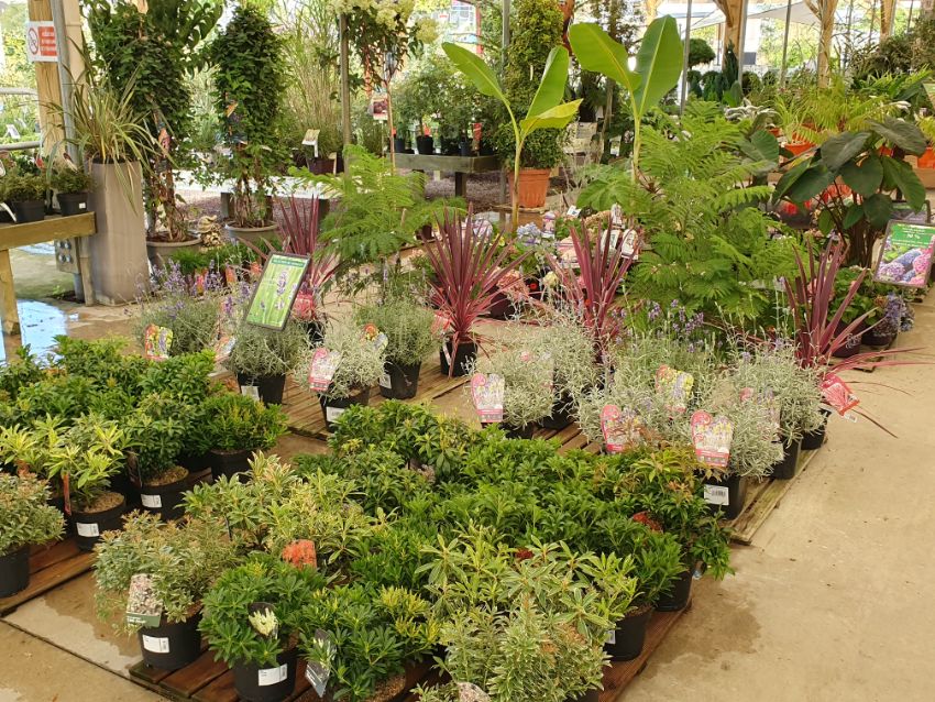 La Jardinerie du Bois Paris
