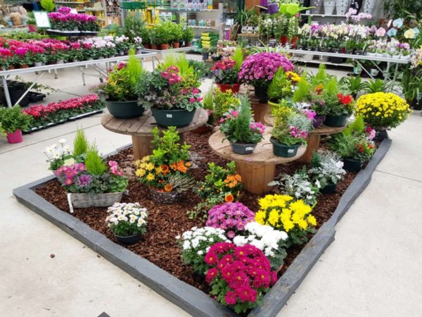 Jardinerie Euralys