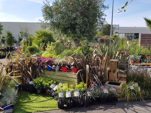Jardinerie Jardin Décor