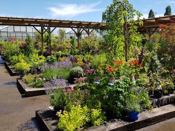 Jardinerie des Jardins du Sonnenhof