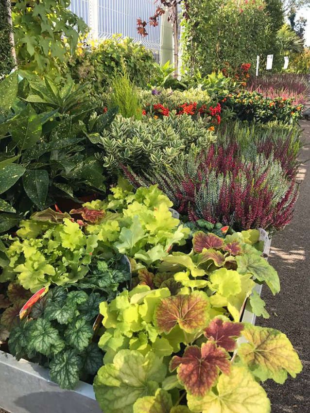 Les Jardins de la Cotière