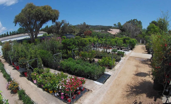 Jardinerie Les Pépinières de Saint-Cyprien