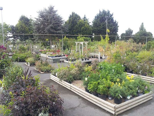 La Jardinerie des Pépinières Chatelain