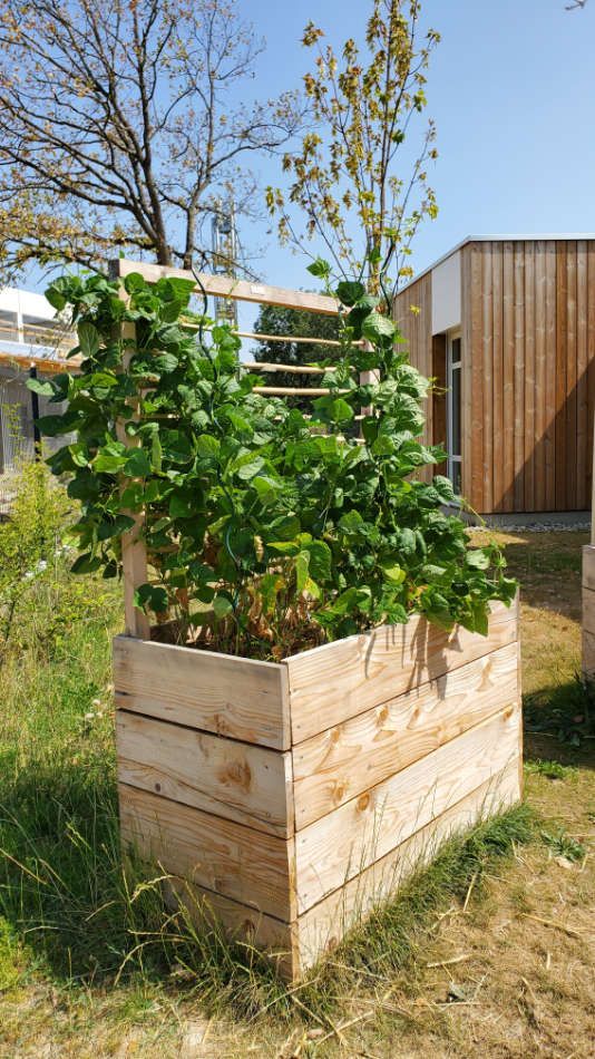 Création de jardinière en bois