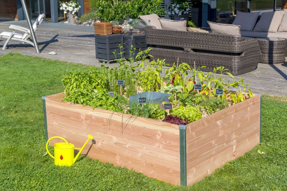 Le Keyhole garden modèle moyen