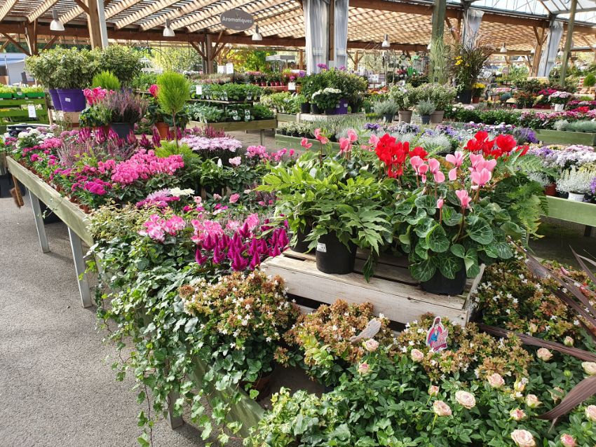 La Jardinerie du Bois Paris