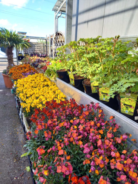 La Jardinerie Favennec