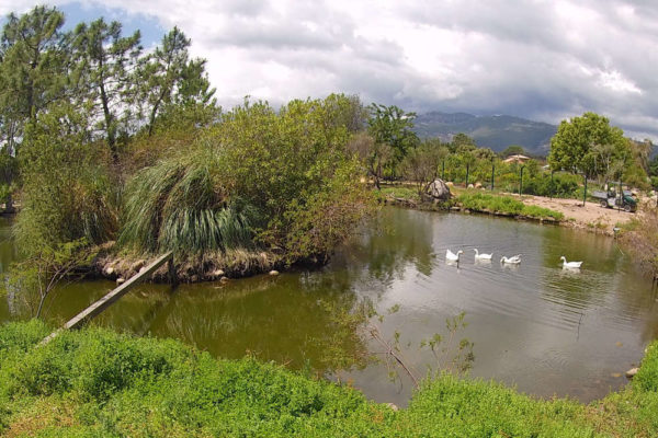 Le parc des Pépinères de Saint-Cyprien