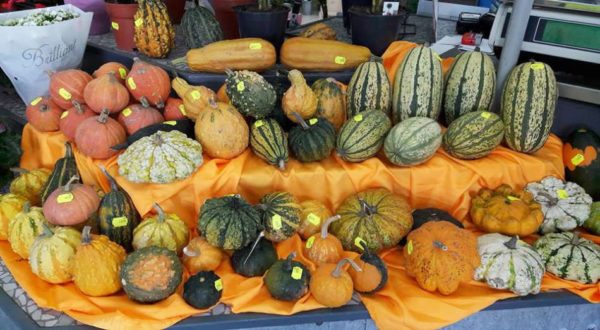 Les légumes de la Potagère
