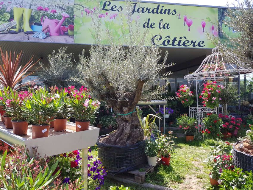 Les Jardins de la Cotière