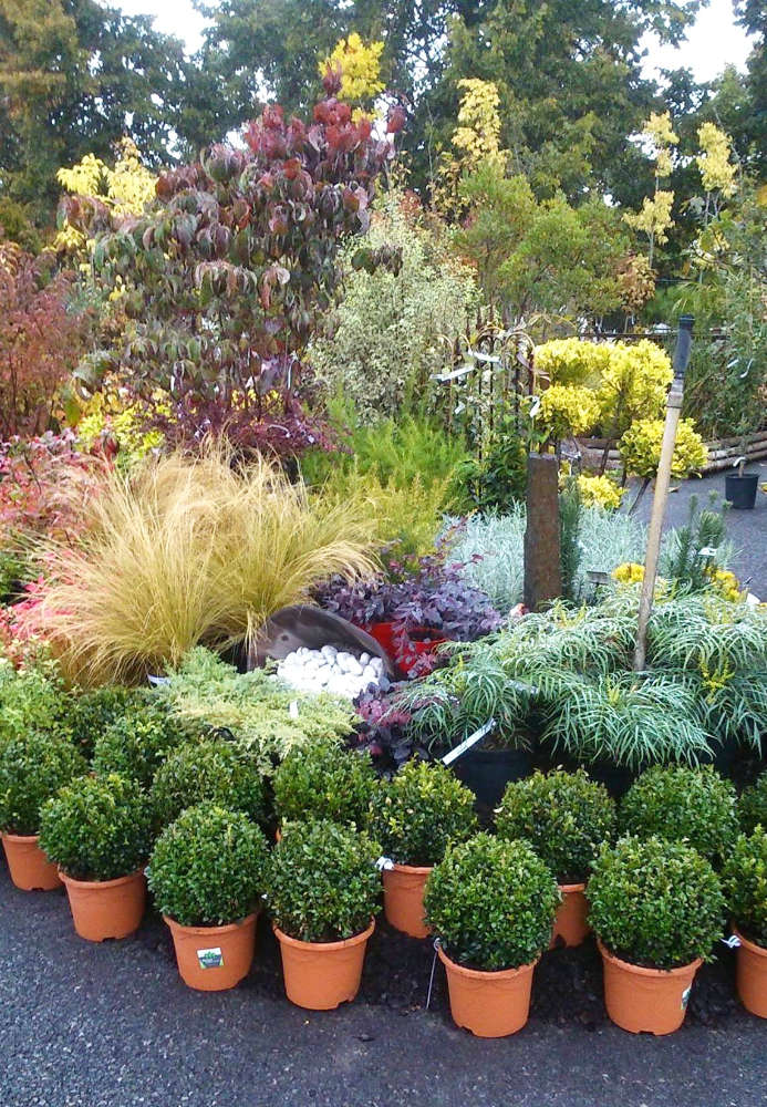 L'espace pépinière des Jardins de Maryline