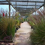Jardinerie Richin Espaces Verts