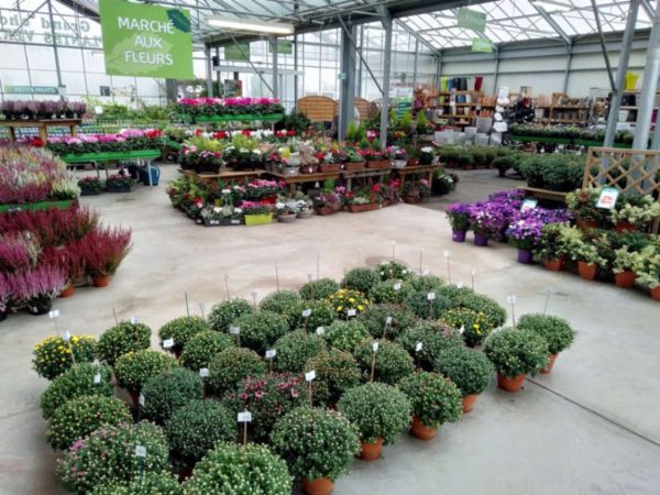 Marché aux fleurs