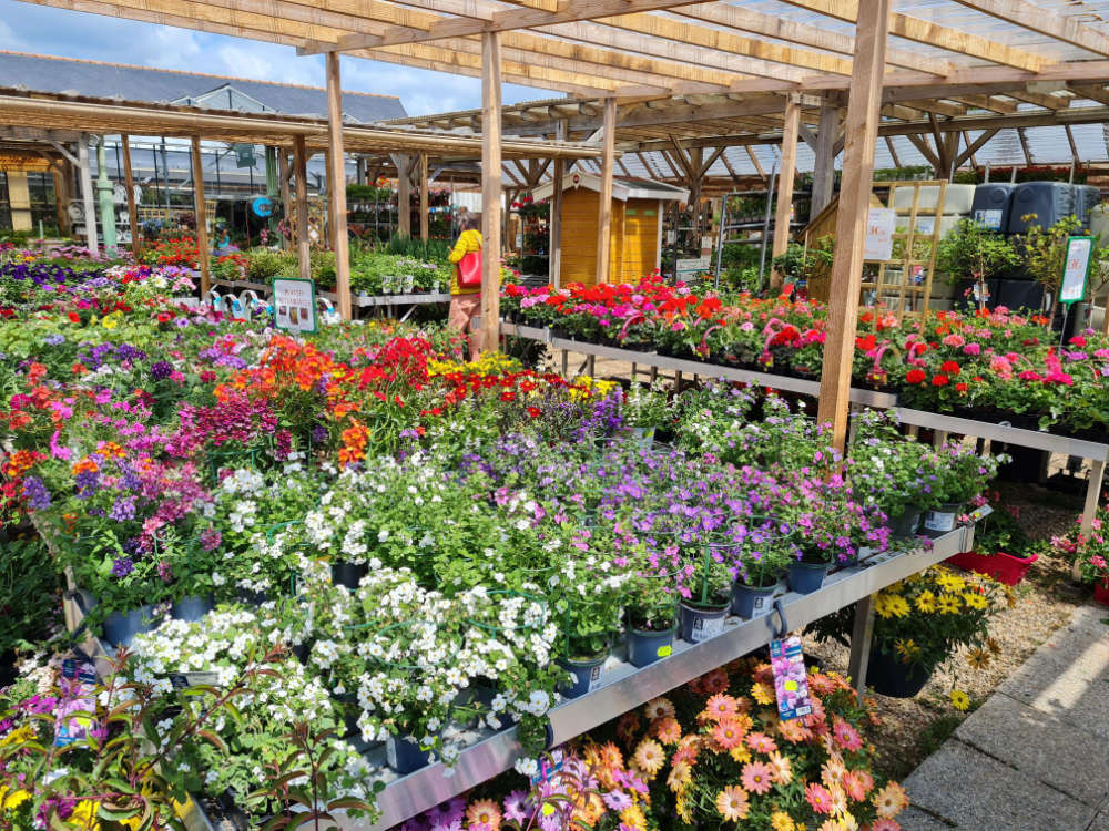 Le marché aux fleurs de la Jardinerie Leroux