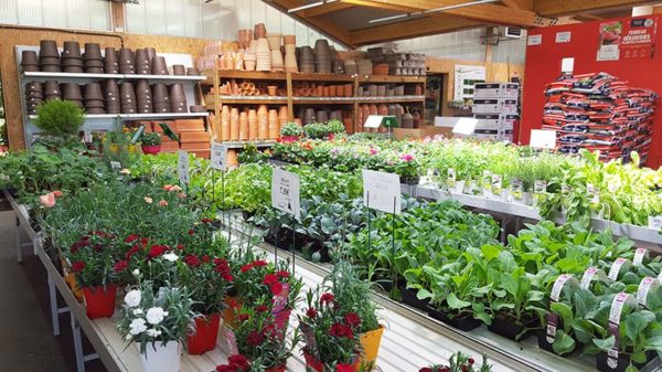 Marché couvert