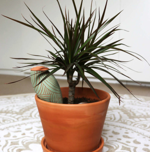 Ollas Wepot dans jardinières