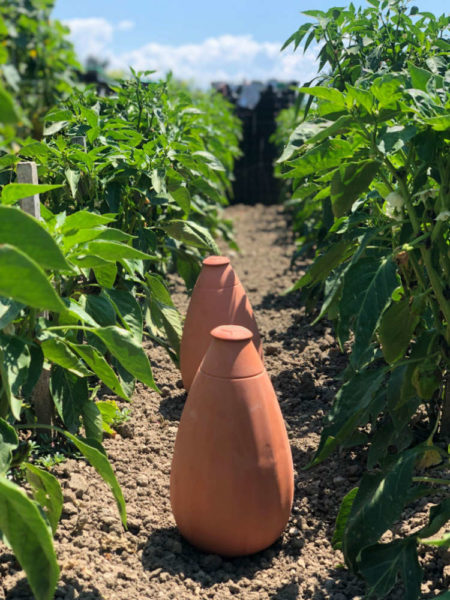 Les ollas Wepot au potager