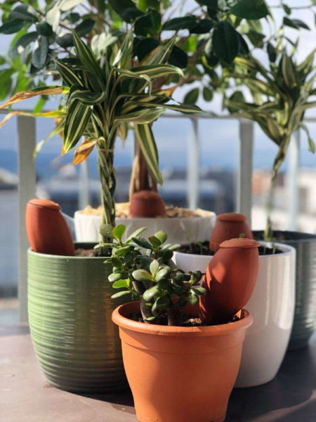 Ollas Wepot dans jardinières