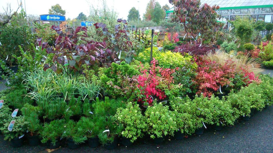 L'espace pépinière des Jardins de Maryline