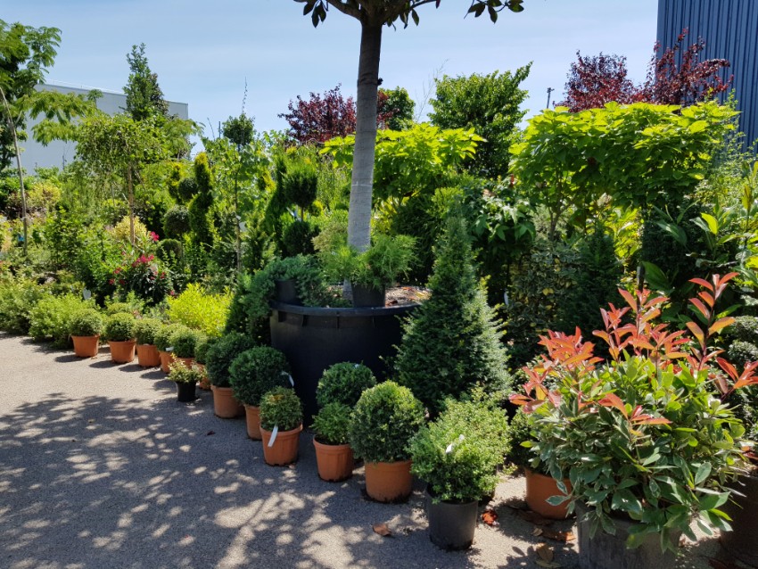 Espace pépinière Des Jardins de la Cotière