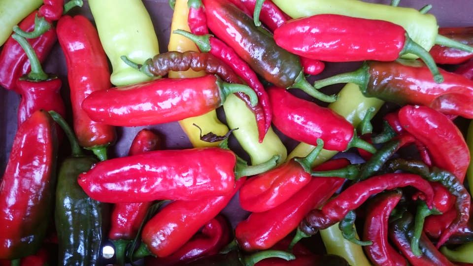 Les piments