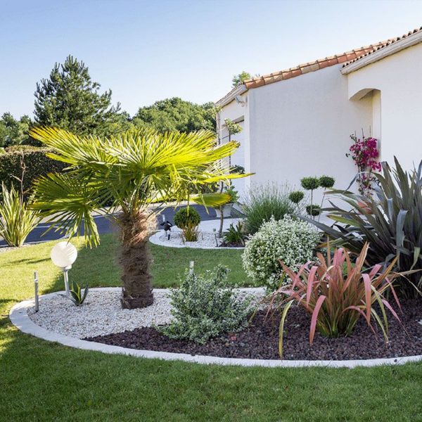 Plantation et décor minéral