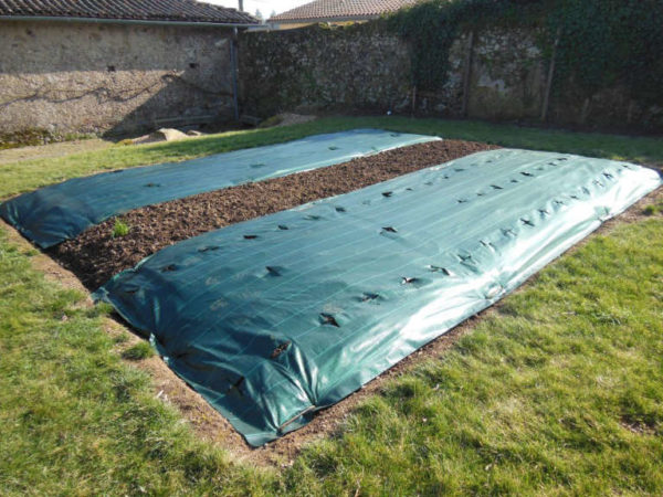 Potager avec toile de paillage