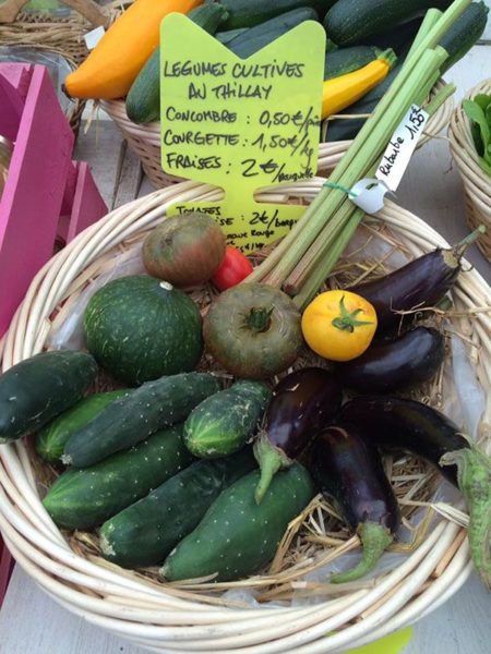 Production de légumes des Pépinières Chatelain