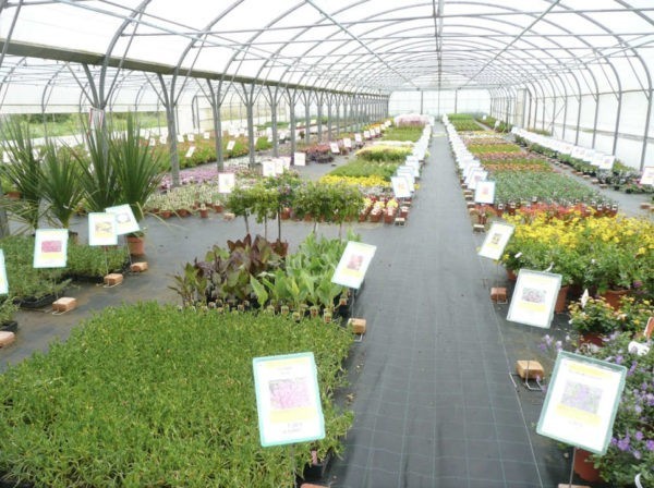 Production des Jardins de la Fée