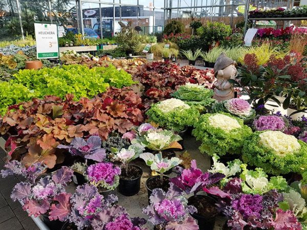 Production horticole des Jardins du Sonnenhof