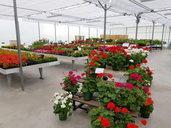 La production horticoles des Jardins d'Olivier