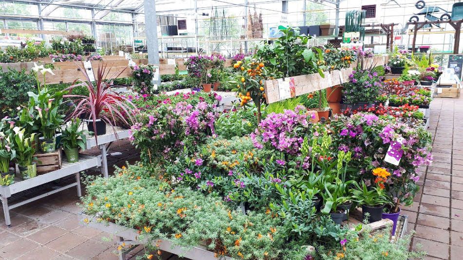 La serre froide des Jardins de Maryline