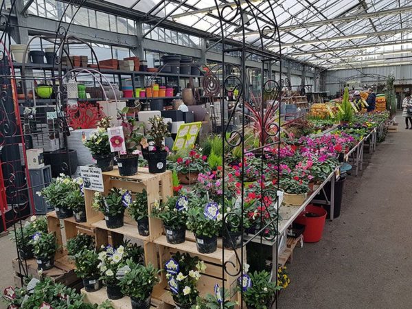 Marché aux fleurs de JardiPlus