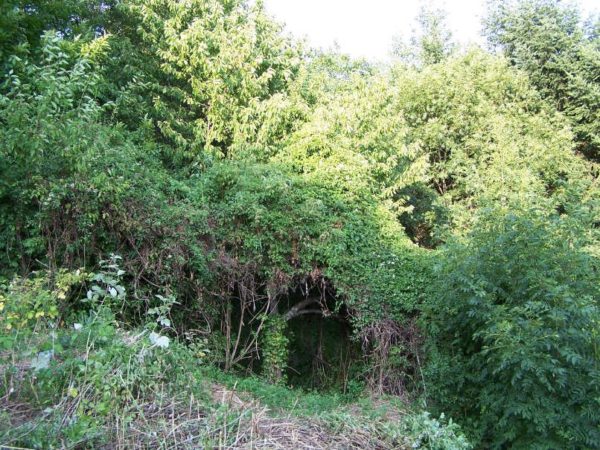 Terrain des Jardins d'Isana