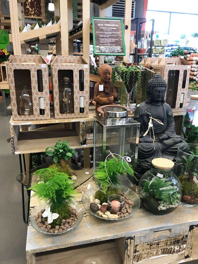 Terrariums