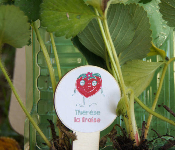 Thérèse la fraise