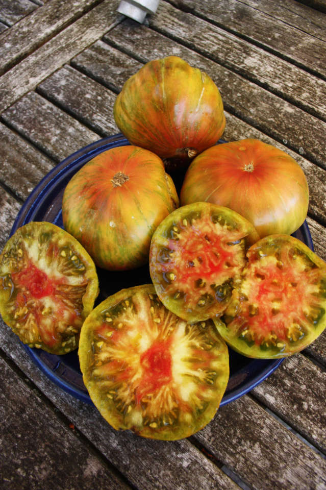 Tomate Everett's Rusty Oxheart