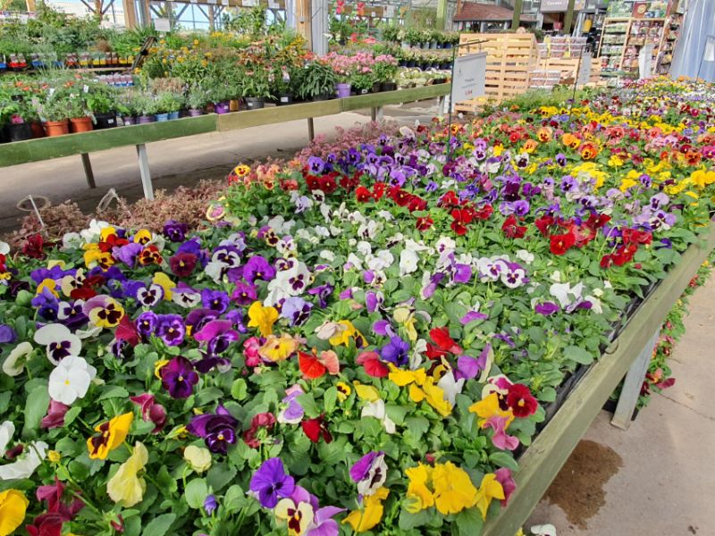 La Jardinerie du Bois Paris