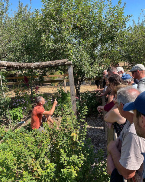 Visites du jardin