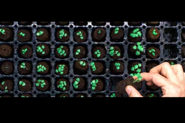 Les Jardiniers Modernes