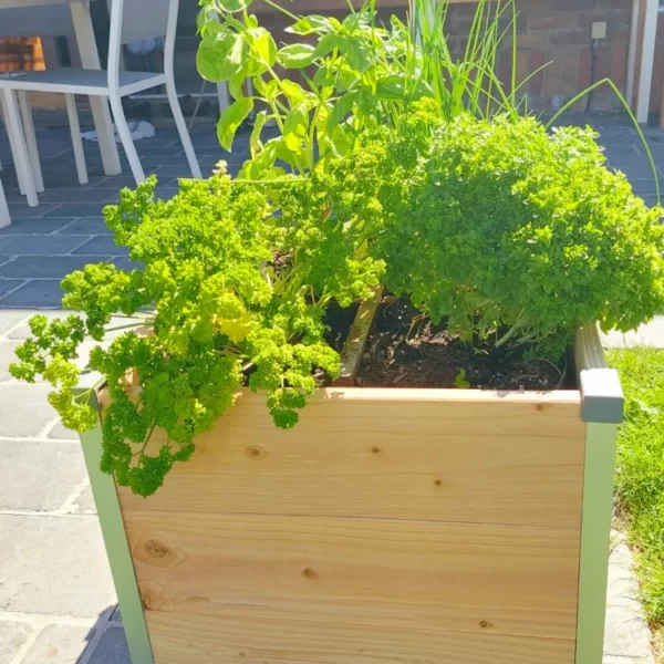 Bac terrasse design en bois
