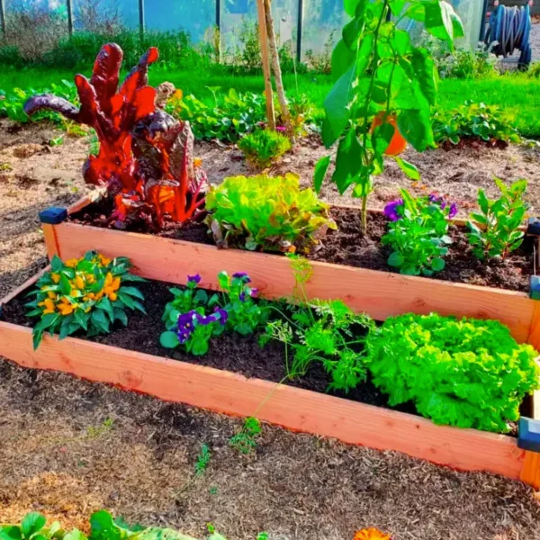 Carré potager 2 étages