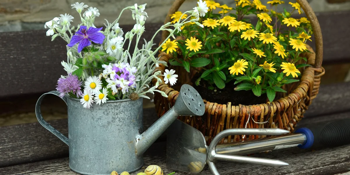 Que faire au jardin en mai ?