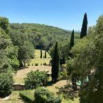 coquelicotetartichaut